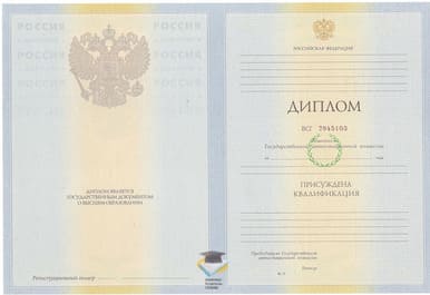 Диплом ВИ МВД РФ 2010-2011 годов